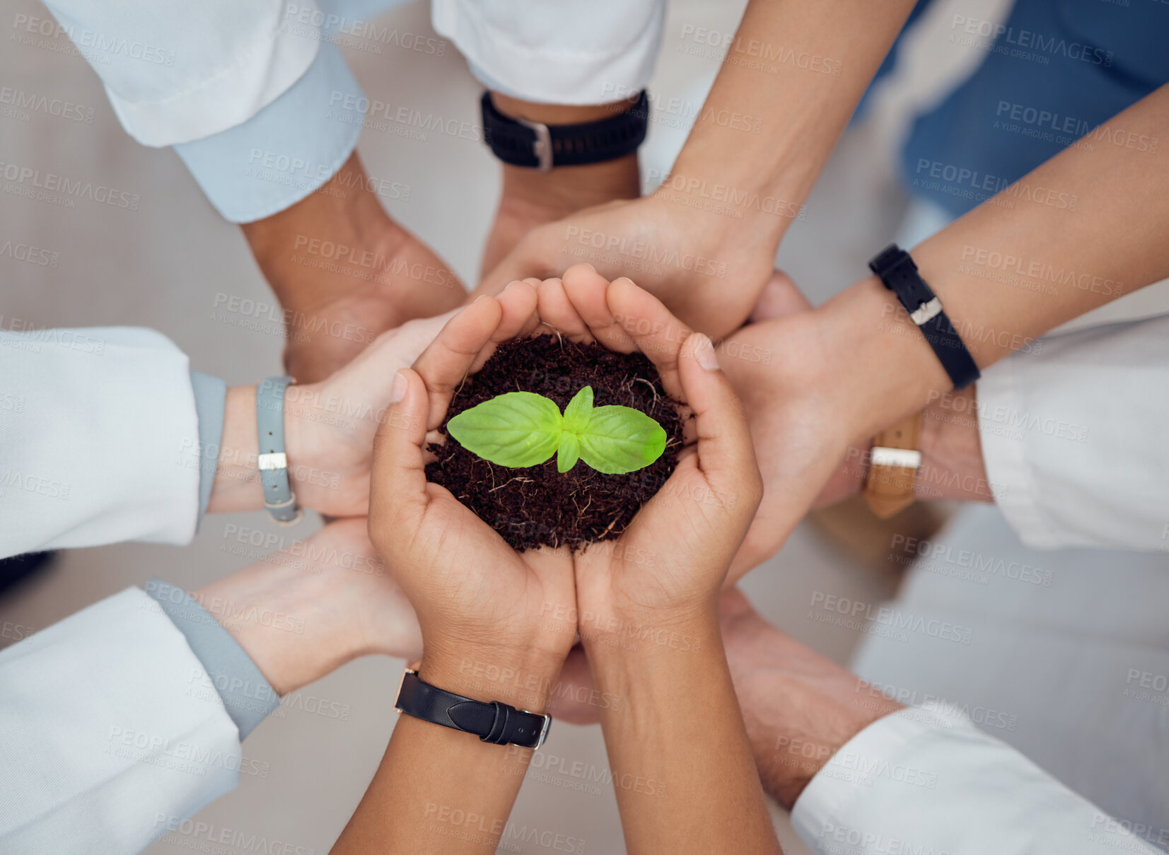 Buy stock photo Hands, support or doctors with plant for teamwork or growth research with mission or unity in hospital. Group, nurse and top view of leaf seedling with soil for solidarity, healthcare or wellness