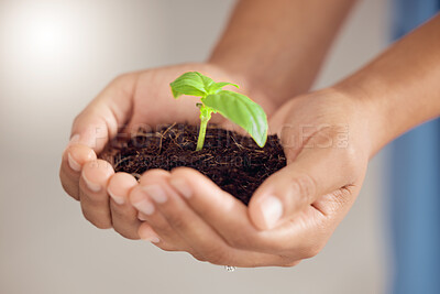 Buy stock photo Hands, person and plants for growth development, future sustainability or climate change. Closeup of leaf in soil for hope, global nonprofit and support of nature, sustainable planet or ngo volunteer