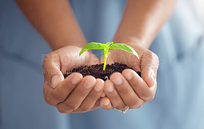 Buy stock photo Hands, person and plants for growth in world, future sustainability and climate change. Closeup of leaf in soil for hope, global environment and support of nature, sustainable planet or ngo volunteer