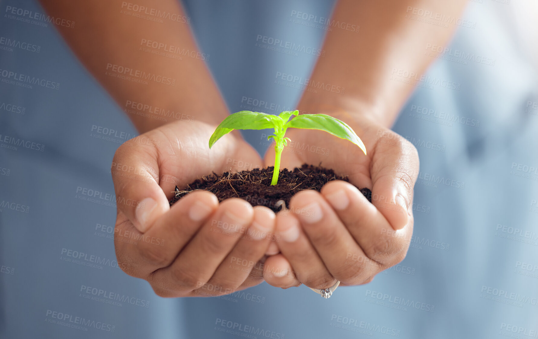 Buy stock photo Hands, person and plants for growth in world, future sustainability and climate change. Closeup of leaf in soil for hope, global environment and support of nature, sustainable planet or ngo volunteer