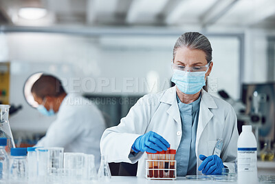 Buy stock photo Woman, blood sample or scientist with research in a science laboratory for medical analysis or innovation. Face mask, medicine development or researcher studying test of DNA or virus in vial tube 