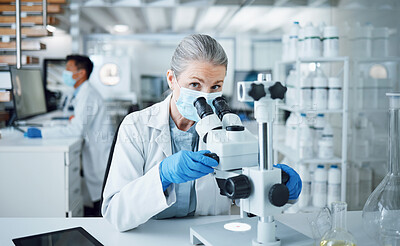 Buy stock photo Senior woman, portrait and lab microscope for research and work for medical analysis. Scientist, investigation and laboratory expert with covid and healthcare report for virus monitoring and data 