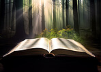 Magic, fantasy and forest with book in nature for fairytale, imagination and night. Ai generated, inspiration and learning with education literature and light for magical, education and trees