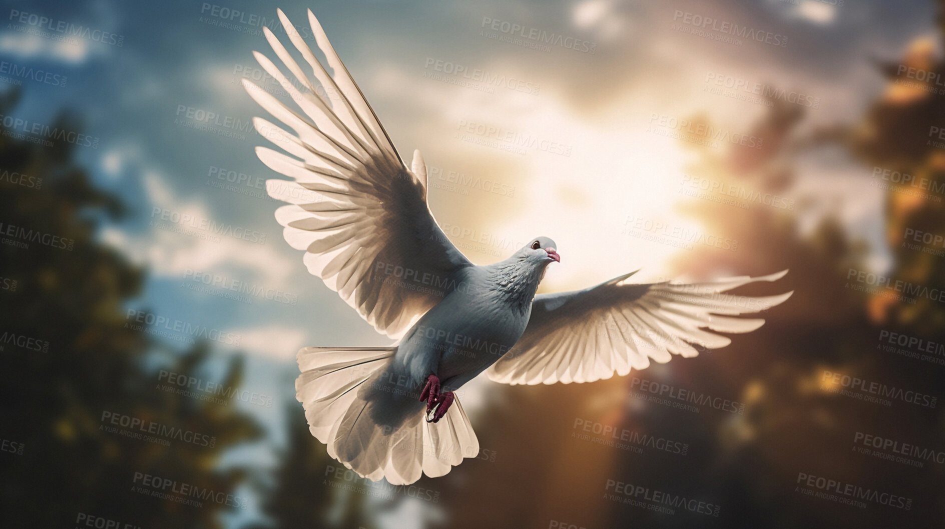 Buy stock photo Closeup, dove and flying Christian bird for heaven, peace and calm in faith, religion and spiritual God on blue sky background. Ai generated, birds and animal for hope, holy and Catholic symbol