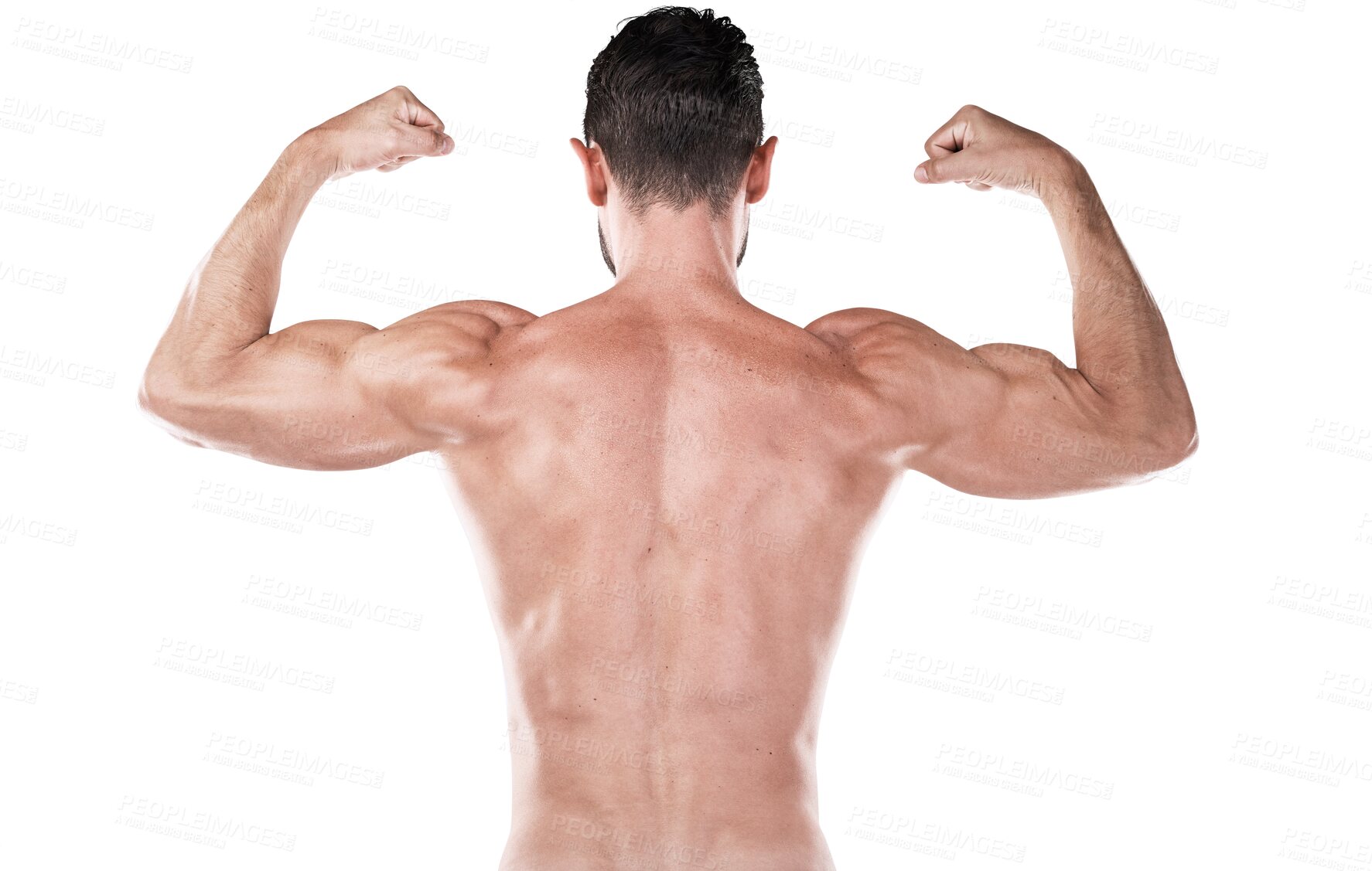 Buy stock photo Back, fitness and man flexing muscle during exercise, training or gym workout isolated on a transparent png background. Showing biceps, strong bodybuilder and athlete with healthy sports for power.