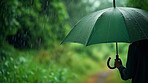 Rain, woman and umbrella for water drops shield. Ai generated person in nature for sustainability