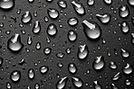 Rain, water drops and macro of clean liquid for ai generated sustainability on dark background