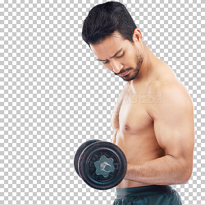 Man fitness and dumbbell in studio for muscle wellness and self care by blue background with focus. Model bodybuilder workout and training for health body or development with exercise by backdrop