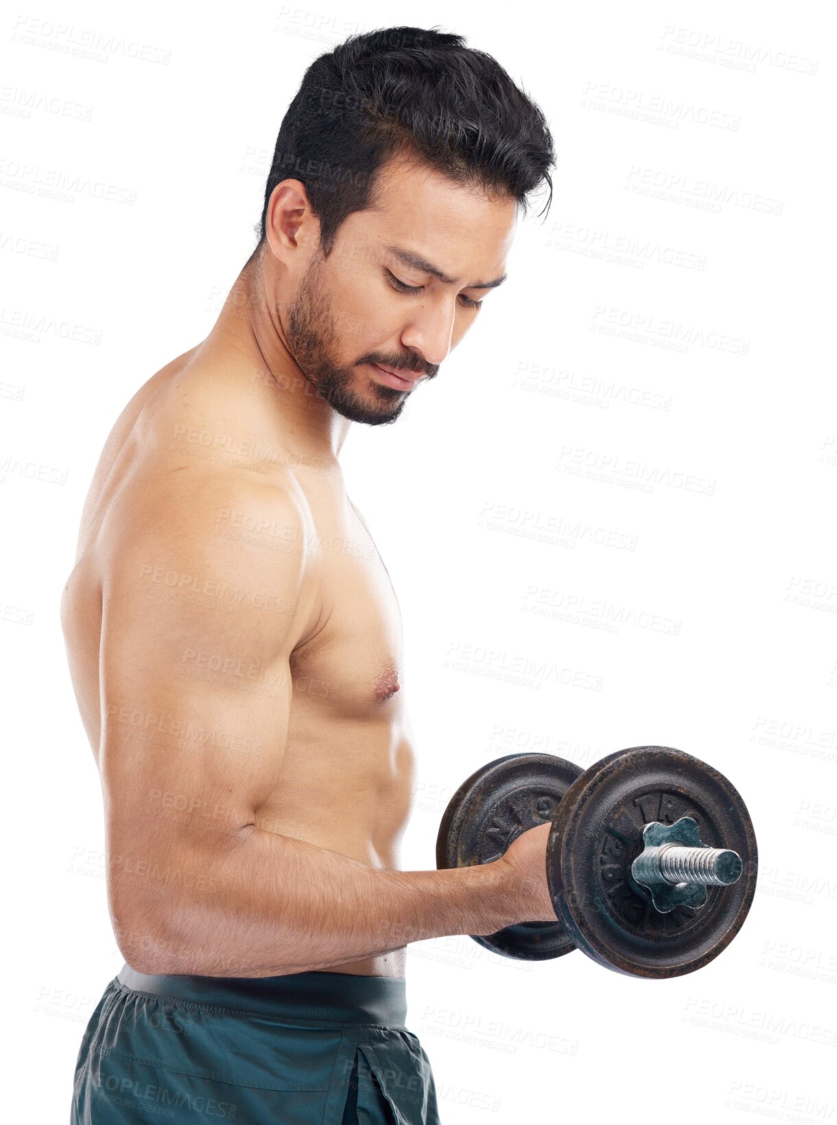 Buy stock photo Arm, fitness and dumbbells with bodybuilder man isolated on a transparent background for health or wellness. Exercise, weight or bicep muscle with a strong male athlete on PNG for a training workout