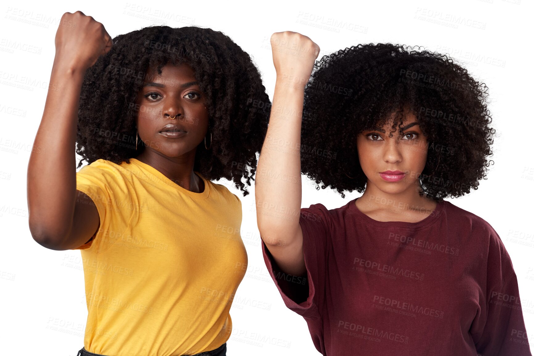 Buy stock photo Fist, strong and power portrait of black women or friends together for protest, empowerment or freedom. Serious people isolated on transparent, png background for motivation, human rights and support