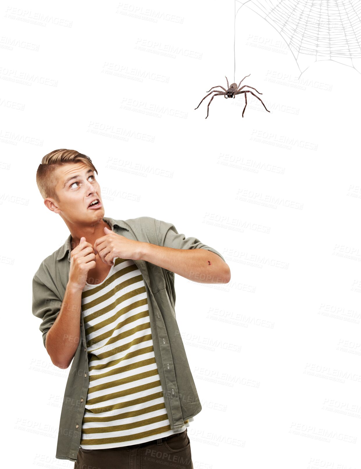 Buy stock photo Scared, man and fear for spider, surprise and isolated on a transparent png background. Stress, terror and person with arachnophobia, anxiety and problem, horror crisis or afraid to panic for danger