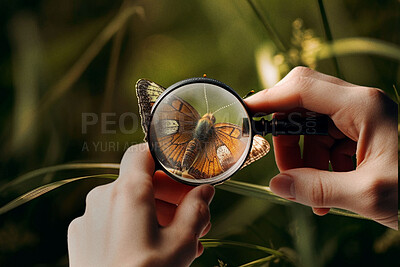 Buy stock photo Hands, magnifying glass and monarch butterfly on green leaf plant for science research, study or entomology in garden. Ai generated person, bugs or flying insects with magnifier for nature inspection