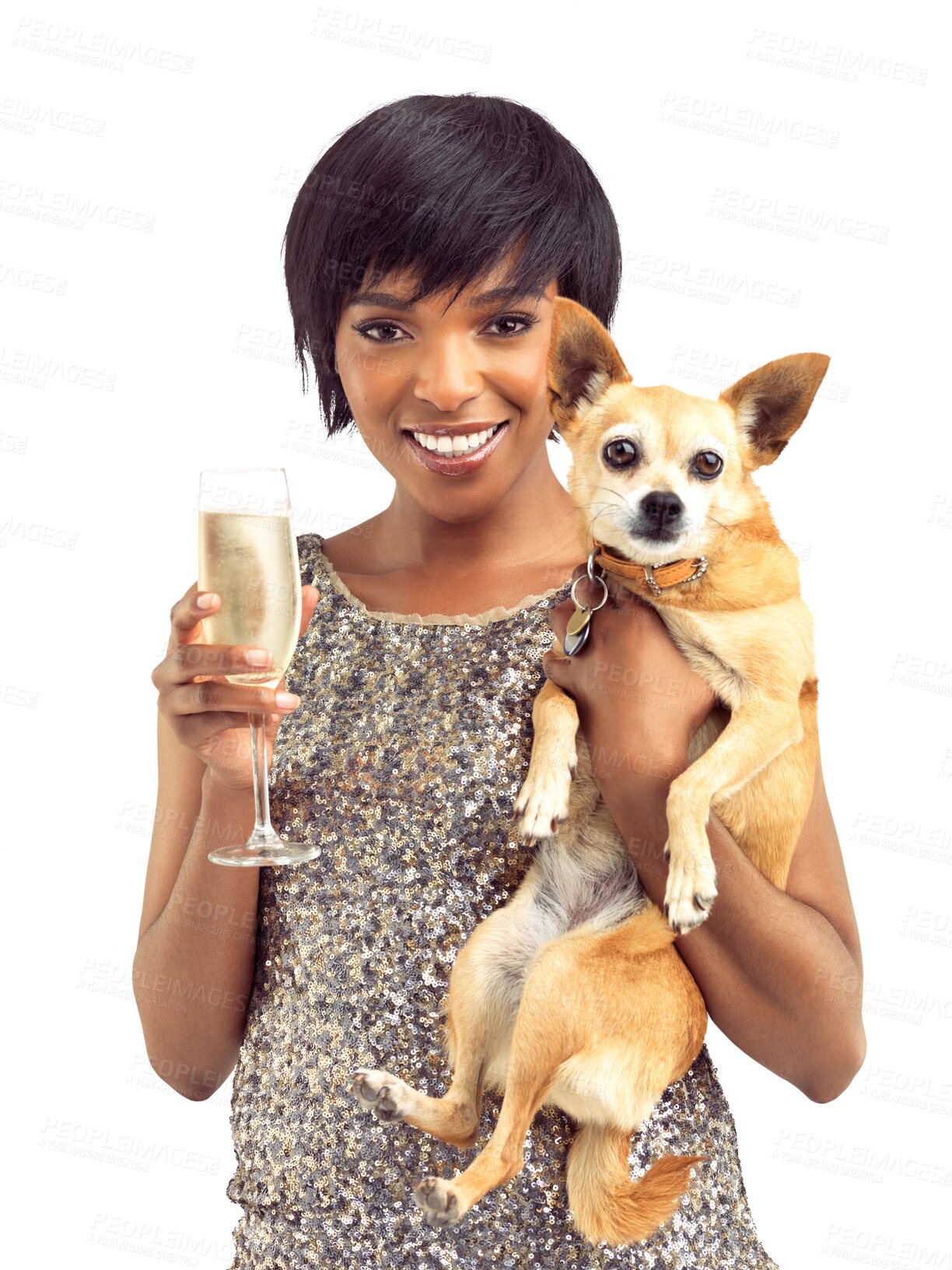 Buy stock photo Woman, champagne and dog for party, fashion or portrait for smile, toast and isolated by transparent png background. African girl, happy fashion model or glitter fabric with pet, glass or celebration