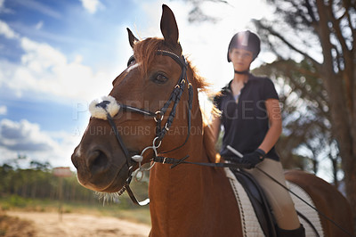 Buy stock photo A beautiful young woman riding on a chestnut horse