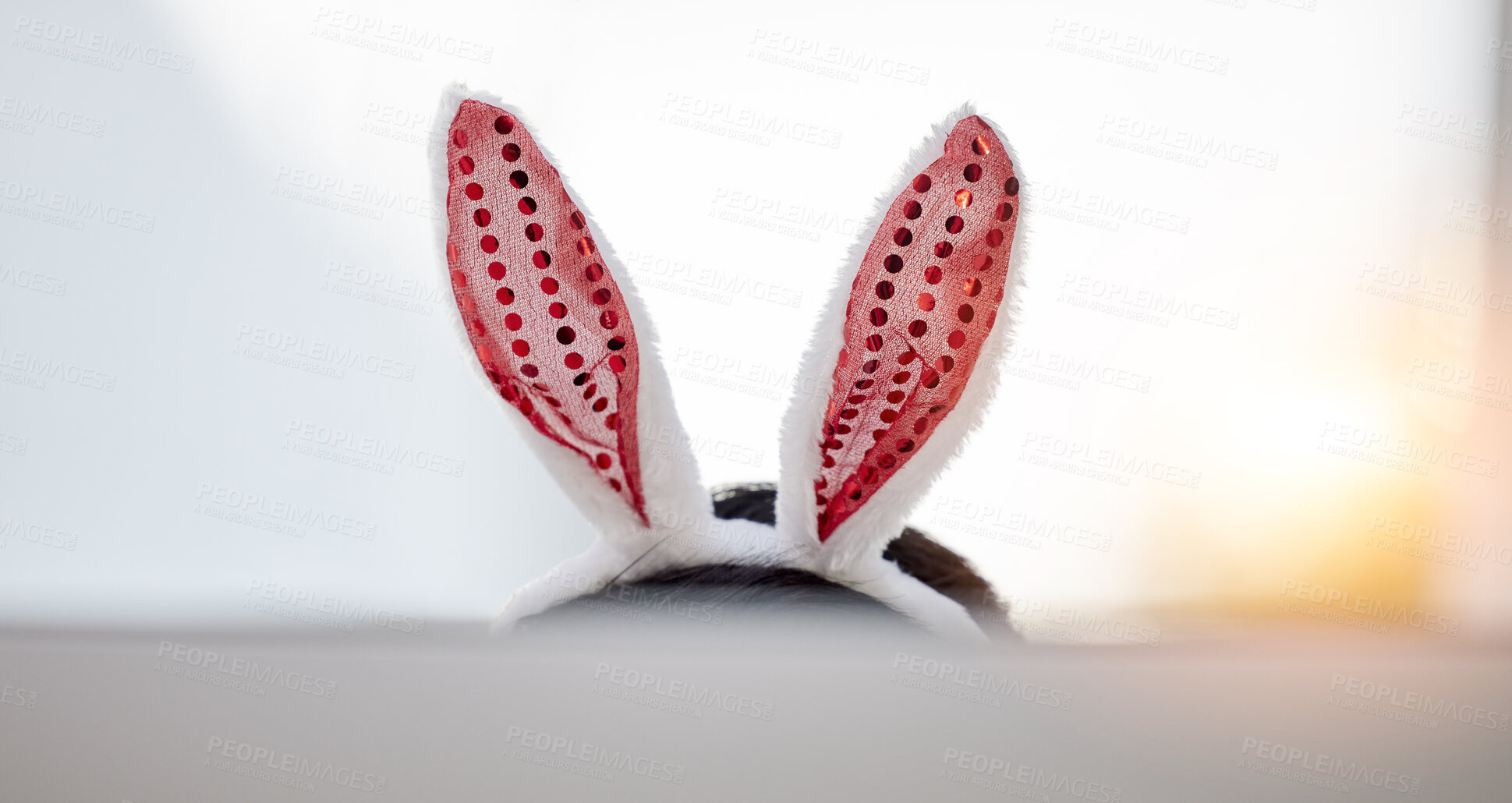 Buy stock photo Easter bunny, ears and funny person at home with computer screen and silly hat for comedy. Celebration, holiday and rabbit with dress up and goofy costume accessory in house with technology and head