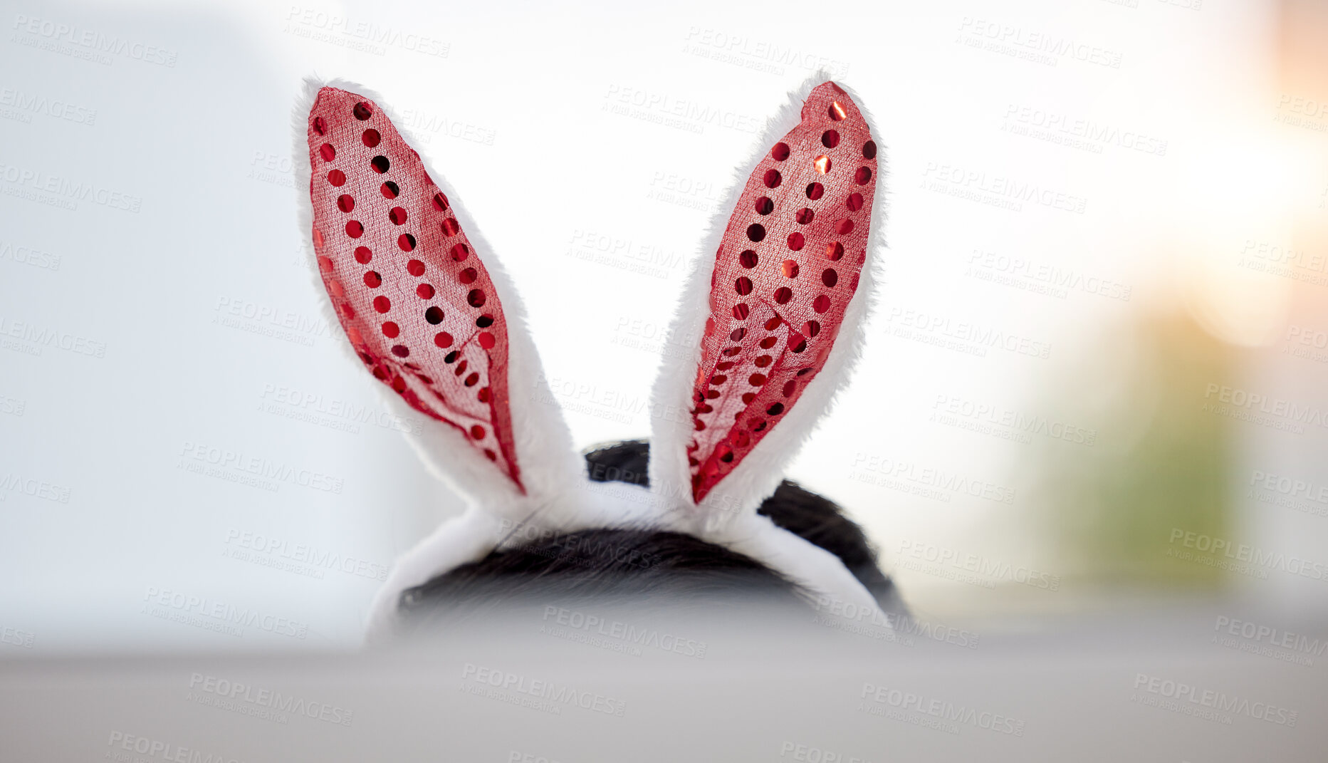 Buy stock photo Easter bunny, ears and person at home with computer screen and silly hat for comedy. Celebration, holiday and rabbit with dress up and goofy costume accessory in a house with technology and head