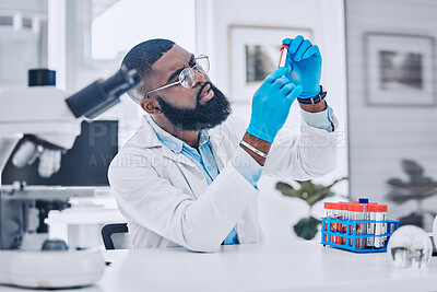 Buy stock photo Sample analysis, lab and a scientist with blood for science, pharmaceutical healthcare or results. Focus, doctor or a black man with a dna vial for virus test, technician work or expert check