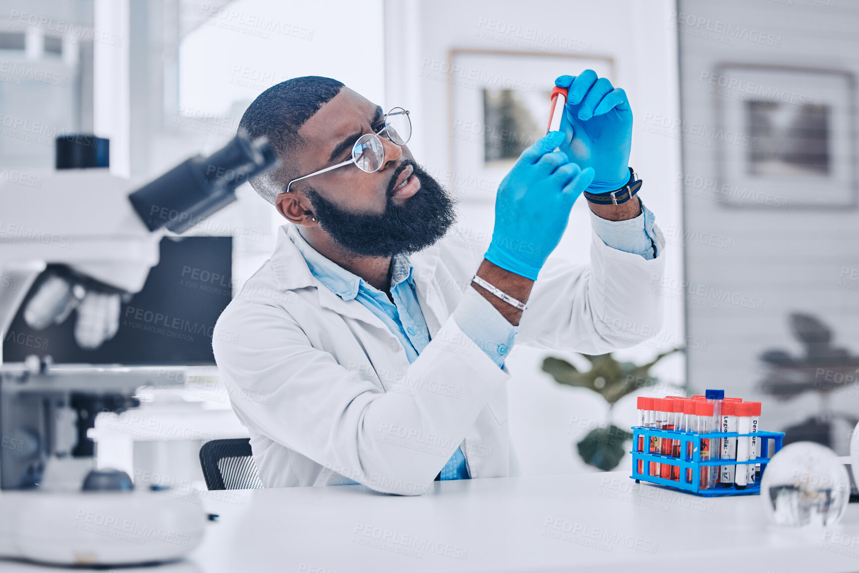 Buy stock photo Sample analysis, lab and a scientist with blood for science, pharmaceutical healthcare or results. Focus, doctor or a black man with a dna vial for virus test, technician work or expert check