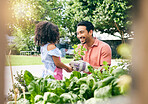 Garden, plant and happy family child, father and plant leaf seeds, nature care or agriculture support in backyard. Happiness, outdoor sustainability and learning kid, dad or parent teaching eco girl
