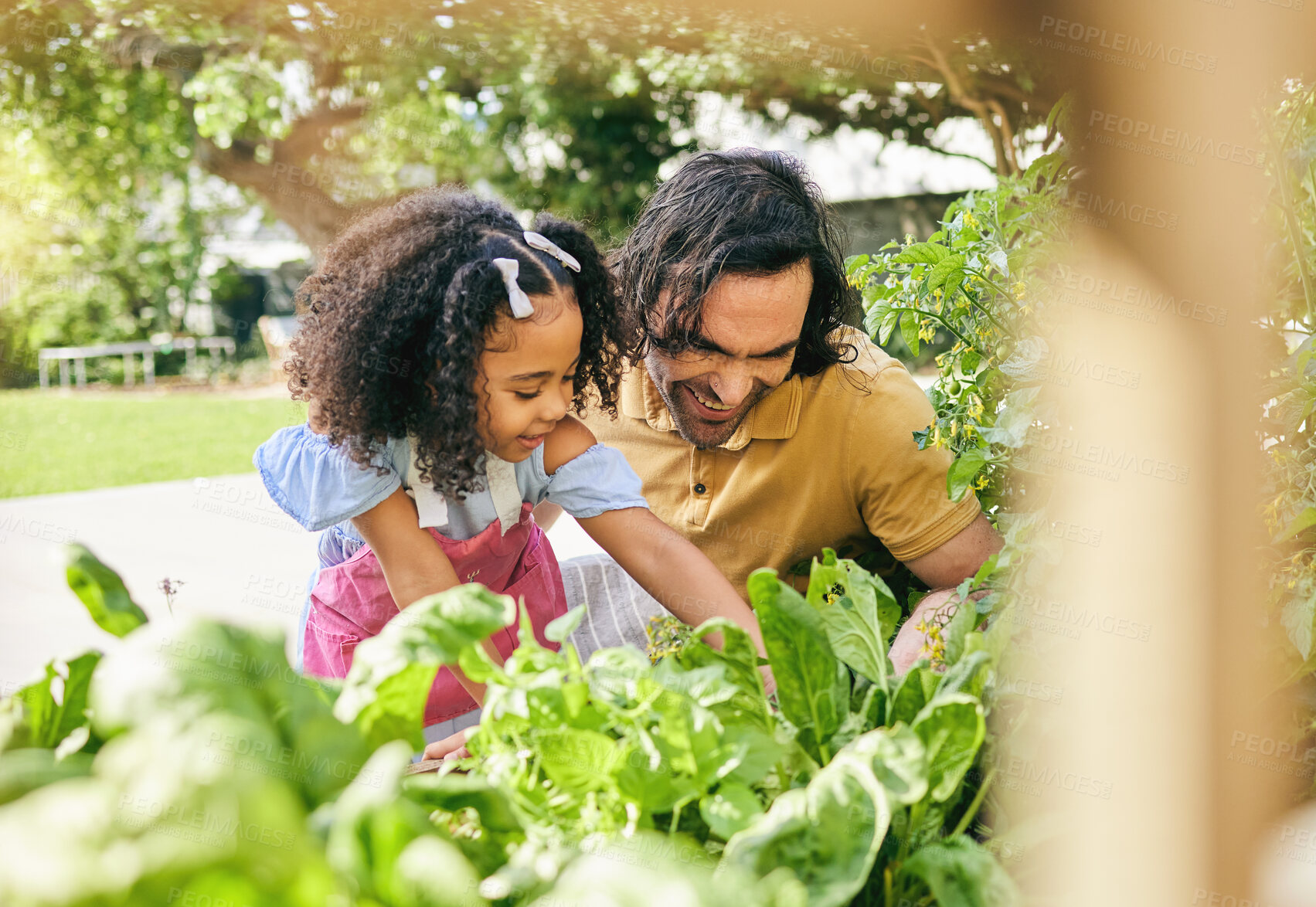 Buy stock photo Garden, inspection and happy family kid, father and watch seed growth, plant fertilizer or care for agriculture. Child development, love bond and dad teaching youth girl sustainable gardening