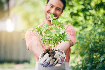 Buy stock photo Man, hands and holding seedling in garden with growth, sustainability and leaves in summer sunshine. Guy, landscaping and happy for healthy environment, soil and outdoor with plants in backyard
