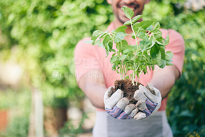 Buy stock photo Hands, growth and man with plant for gardening, earth day or nature sustainability. Spring, green energy and gardener or agriculture worker with ecology in park or nursery for work in the environment