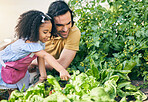 Gardening, dad and child in backyard with plants, teaching and learning with growth and nature. Small farm, sustainable food and father helping daughter in vegetable garden with love, support and fun