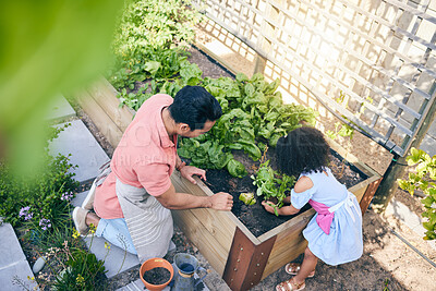 Buy stock photo Gardening, father and child with plants from above, teaching and learning with growth in nature. Small farm, sustainable food and dad helping daughter in vegetable garden with love, support and fun.