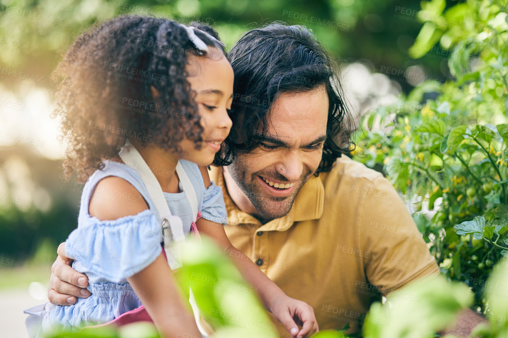 Buy stock photo Gardening, dad and child smile with plants, teaching and learning with growth in nature together. Backyard, sustainability and father helping daughter in vegetable garden with love, support and fun.
