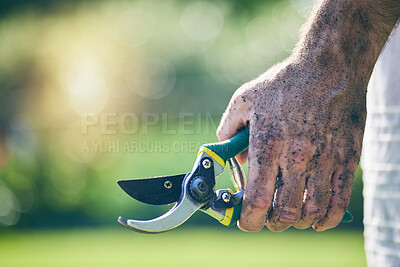 Buy stock photo Gardening, shears and hands of man in nature for agriculture, farming and planting flowers. Sustainability, countryside and male person with tools for earth, fertilizer and soil for environment