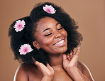 Afro, hair or happy black woman with flowers, beauty care or smile on a brown studio background. Hairstyle, floral or natural African female model with shine or growth with volume, wellness or glow