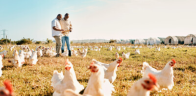 Buy stock photo Black people, clipboard and farm with chicken livestock in agriculture and outdoor resources. Happy men working together for farming, sustainability and growth in supply chain in the countryside
