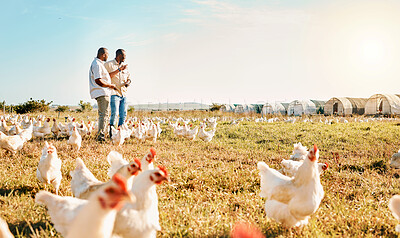 Buy stock photo Black people, clipboard and farm with chicken pointing to barn in agriculture together for live stock. Happy men working for farming, sustainability and growth in supply chain in the countryside