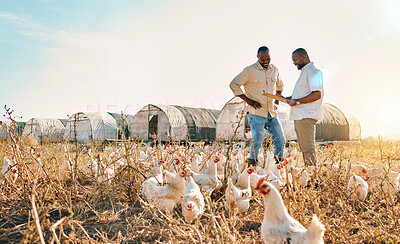 Buy stock photo Black people, clipboard and farm with chicken in agriculture together, live stock and outdoor crops. Happy men working together for farming, sustainability and growth in supply chain by countryside
