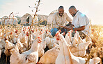 People, agriculture checklist and chicken in sustainability farming, eco friendly or free range industry management. Happy african men with animals health, clipboard and veterinary inspection outdoor