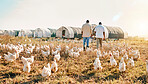 Black people, back and walking on farm with animals, chicken or live stock in agriculture together. Rear view of men working in farming, sustainability and growth for supply chain in the countryside