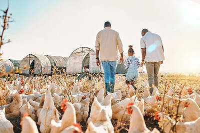 Buy stock photo Holding hands, gay couple and chicken with black family on farm for agriculture, environment and bonding. Relax, lgbtq and love with men and child farmer on countryside field for eggs and animals