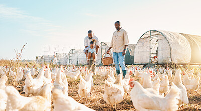 Buy stock photo Agriculture, gay couple and chicken with black family on farm for happy, environment and bonding. Relax, lgbtq and love with men and child farmer on countryside field for eggs, care and animals