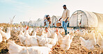 Playful, gay couple and chicken with black family on farm for agriculture, environment and bonding. Relax, lgbtq and love with men and child farmer on countryside field for eggs, care and animals