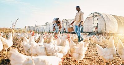 Buy stock photo Playful, gay couple and chicken with black family on farm for agriculture, environment and bonding. Relax, lgbtq and love with men and child farmer on countryside field for eggs, care and animals