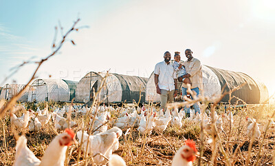 Buy stock photo Portrait, gay couple and chicken with black family on farm for agriculture, environment and bonding. Relax, happy and love with men and child farmer on countryside field for eggs, care and animals