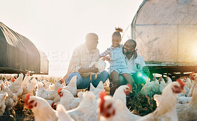 Buy stock photo Agriculture, chicken and gay parents with girl in countryside for holiday, adventure and vacation. Lgbtq family, sustainable farm and fathers with child for bonding, relax and learning with animals
