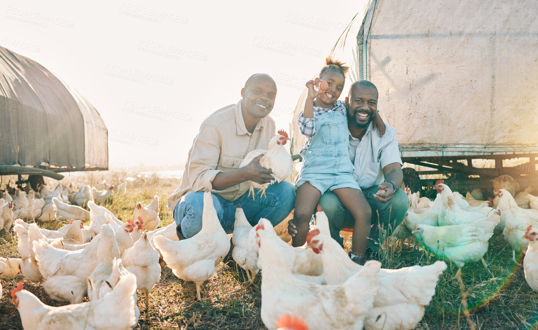 Buy stock photo Agriculture, chicken and portrait of parents with girl in countryside for farming, eggs and livestock. Travel, sustainable farm and lgbtq fathers with child for bonding, relax and learning in nature