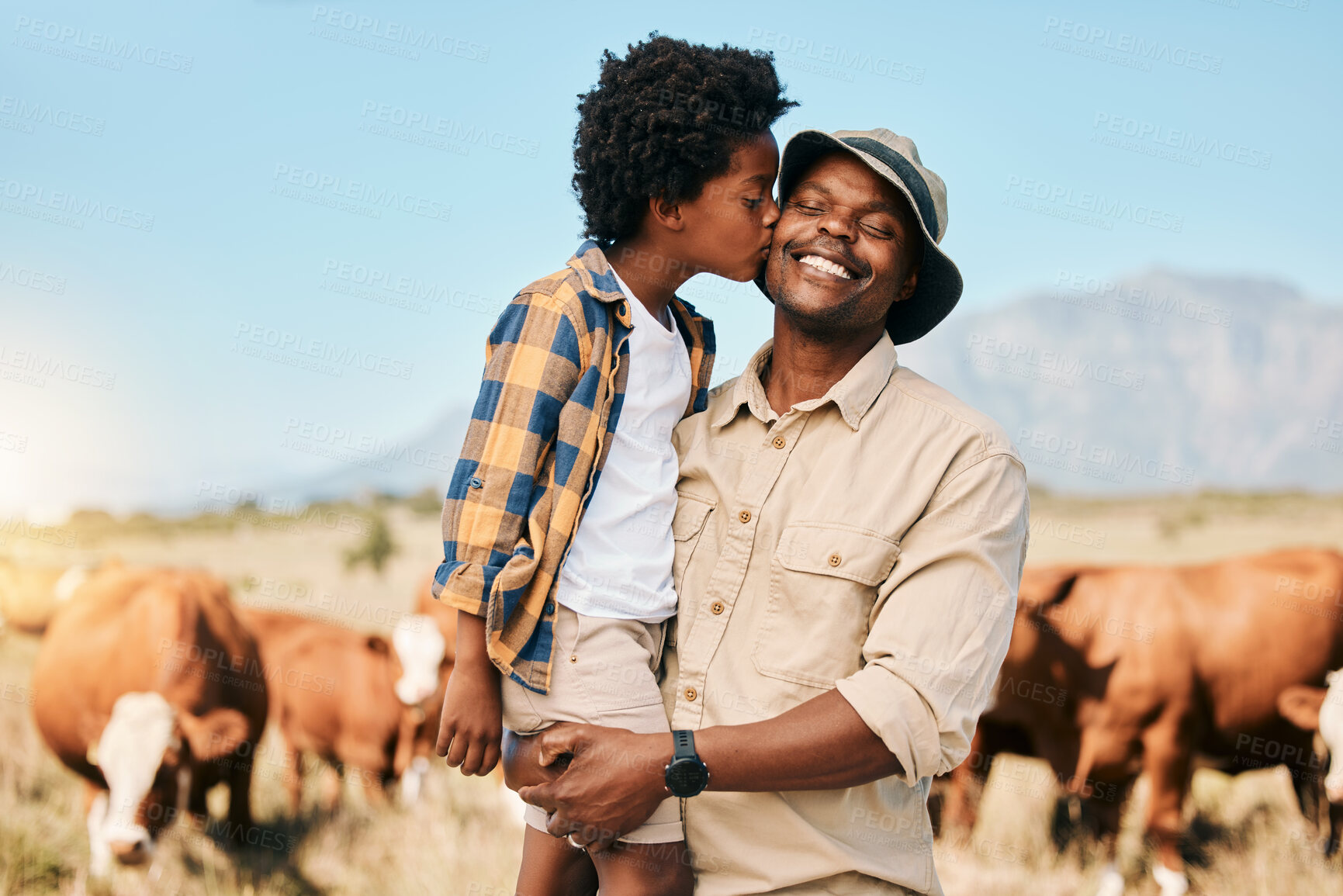 Buy stock photo Farm, cows and child kiss father in countryside for ecology, adventure and agriculture. Family, sustainable farming and African dad happy with boy embrace for bonding, relax and learning with animals