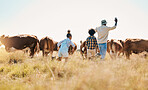 Animal, father and children on family farm outdoor with cattle, sustainability and livestock. Behind African man and kids walking on a field for farmer adventure or holiday in countryside with cows