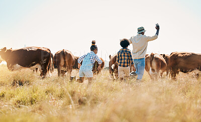 Buy stock photo Animal, father and children on family farm outdoor with cattle, sustainability and livestock. Behind African man and kids walking on a field for farmer adventure or holiday in countryside with cows