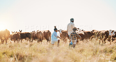 Buy stock photo Cattle, children and father on family farm outdoor for livestock, sustainability or travel. Black man and kids walking on a field for farmer adventure or holiday in countryside with cows in African