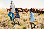 Cows, kids or father walking on farm agriculture for livestock, sustainability or agro business in countryside. Children, black family or African farmer farming cattle herd or animals on grass field