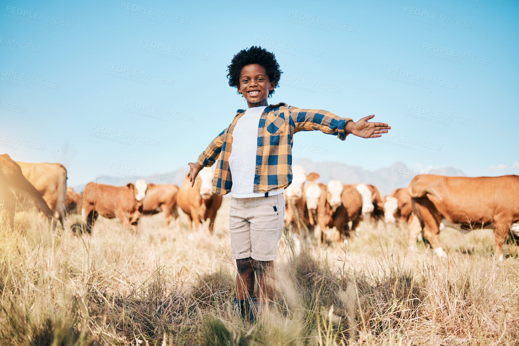 Buy stock photo Farm, cows and portrait of child with open arms for ecology, adventure or agriculture in field. Countryside, sustainable farming and happy African kid smile for freedom, relax or learning with cattle