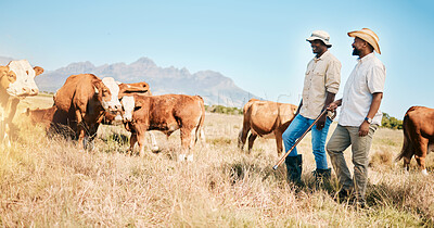 Buy stock photo Cows, teamwork or black people on farm agriculture for livestock, sustainability or agro business in countryside. Men, dairy production or farmers farming a cattle herd or animals on grass field